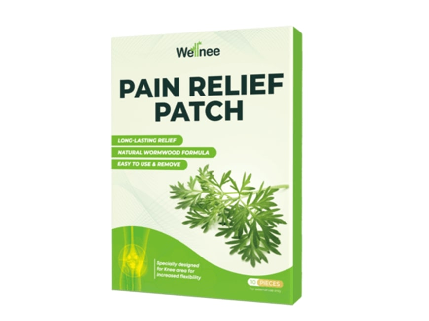 1 Wellnee Pain Relief Patches boxes