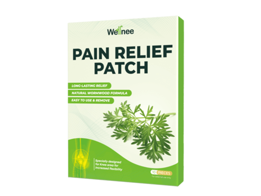 1 Wellnee Pain Relief Patches boxes