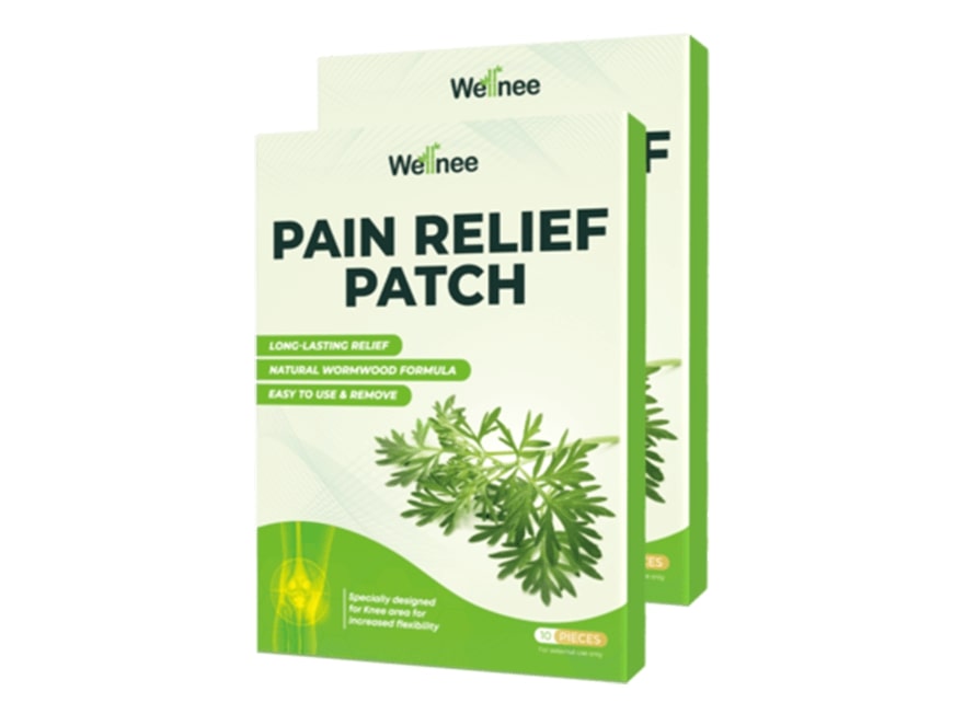 2 Wellnee Pain Relief Patches boxes