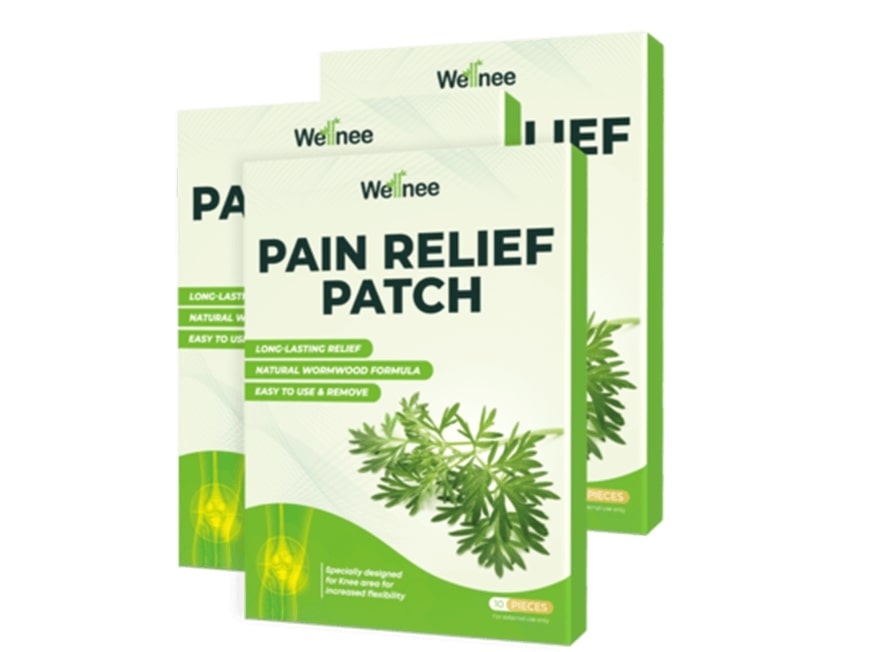 3 Wellnee Pain Relief Patches boxes