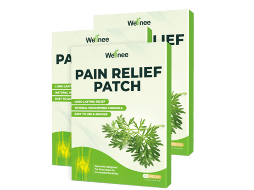 3 Wellnee Pain Relief Patches boxes