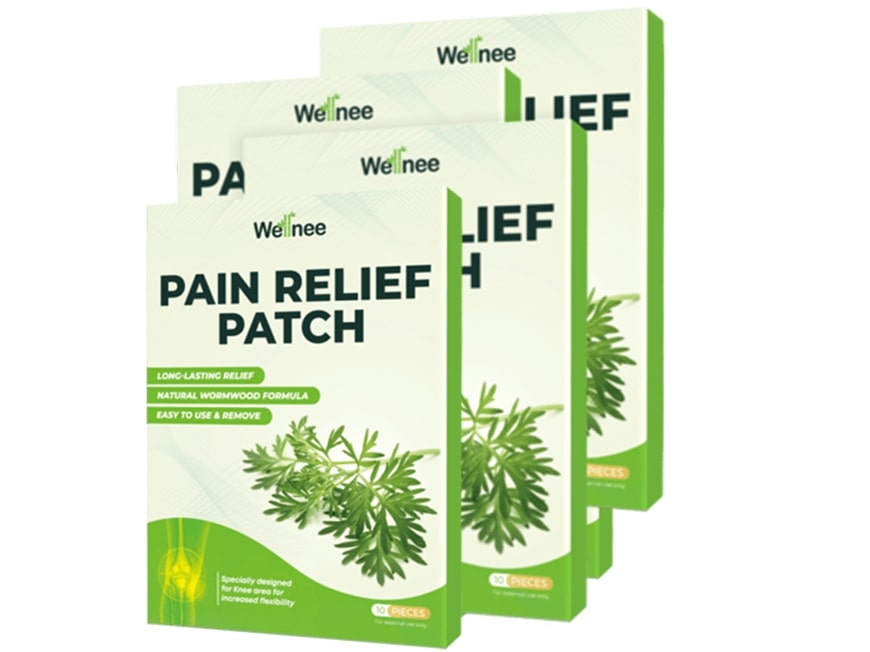 4 Wellnee Pain Relief Patches boxes